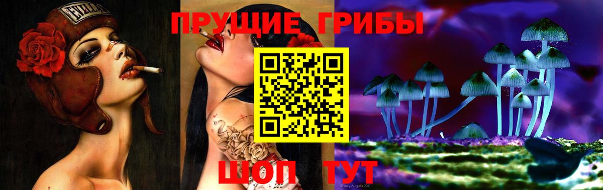 Псилоцибиновые грибы GOLDEN TEACHER Пыть-Ях